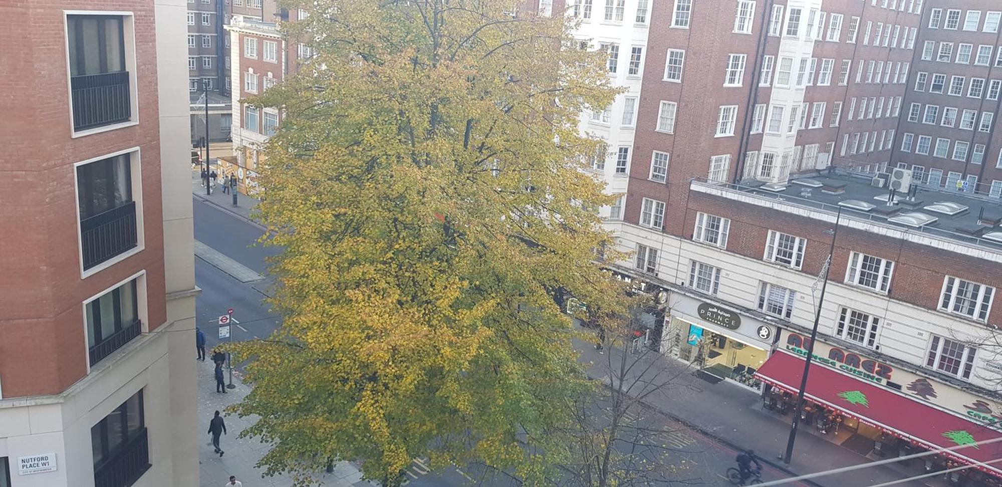 Entire Aptartment On Main Edgware Road, Near Marble Arch, Oxford Street And Hyde Park * London